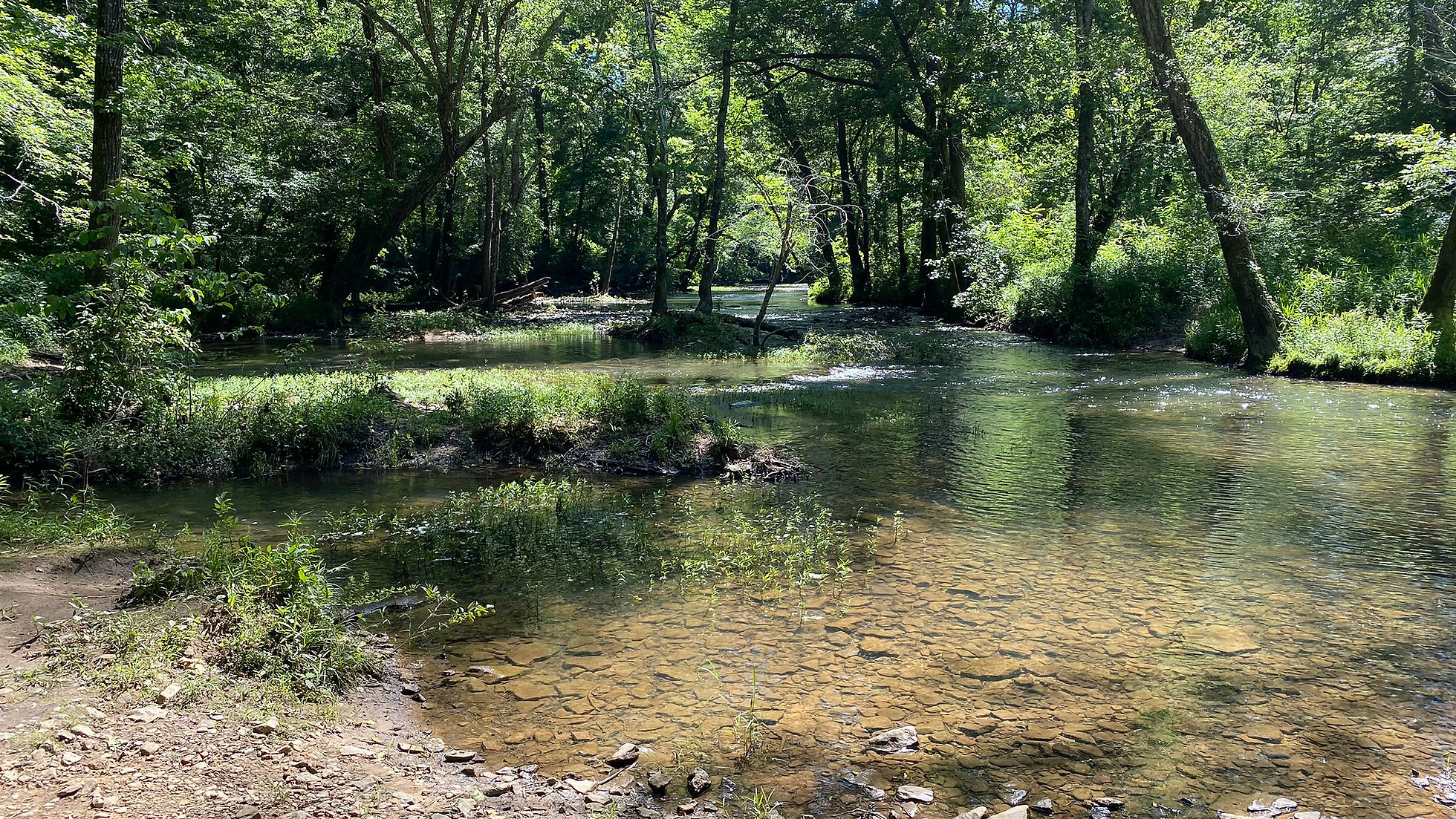 Big Creek Natural Area